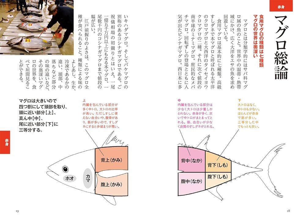 すし@プロフ必読ページ Amazon.co.jp: 【マイナビ文庫】すし図鑑ミニ ~プロもビックリ