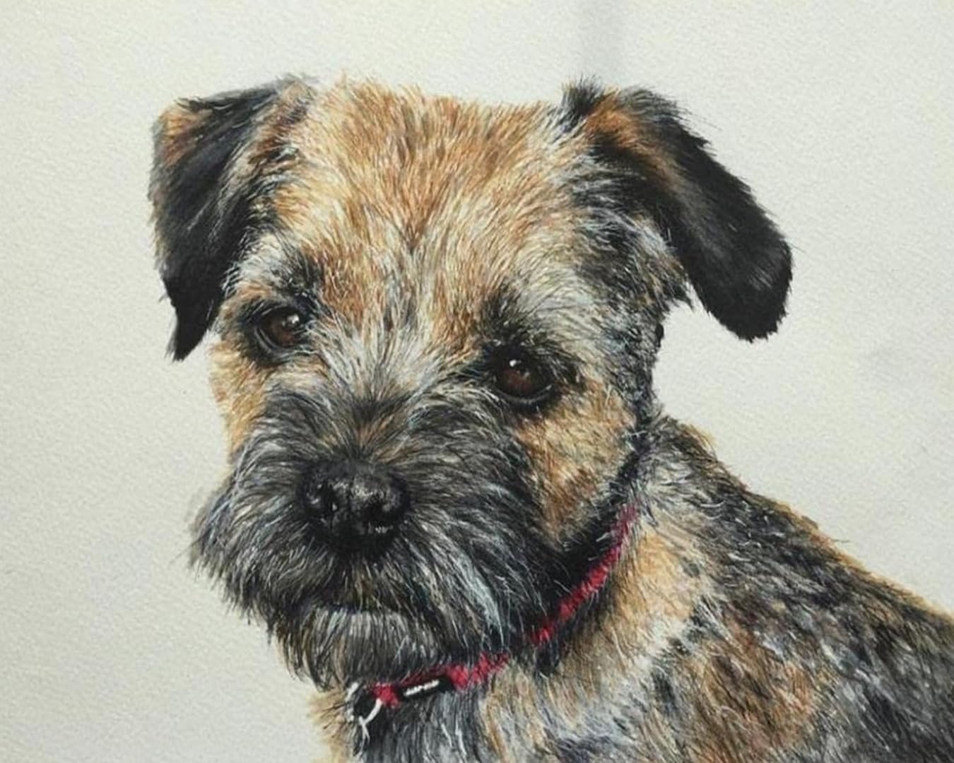 GLTEYACO Embroidery Cross Stitch Kit Border Terrier 11CT Stamped Cross Stitch Kits DIY Adult Beginners for Pre-Printed Needlepoint Crafts 40x50 cm