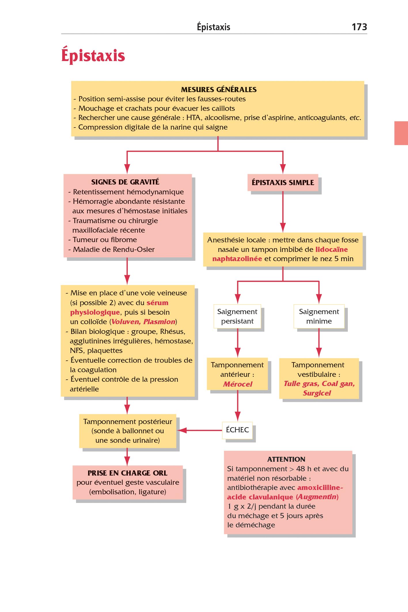 Urgences 2025, 12e éd.: Tri et orientations diagnostiques - Protocoles thérapeutiques - Scores et mémos - Médicaments de l'urgence - Certificats et aspects médicolégaux - Lexique français-anglais