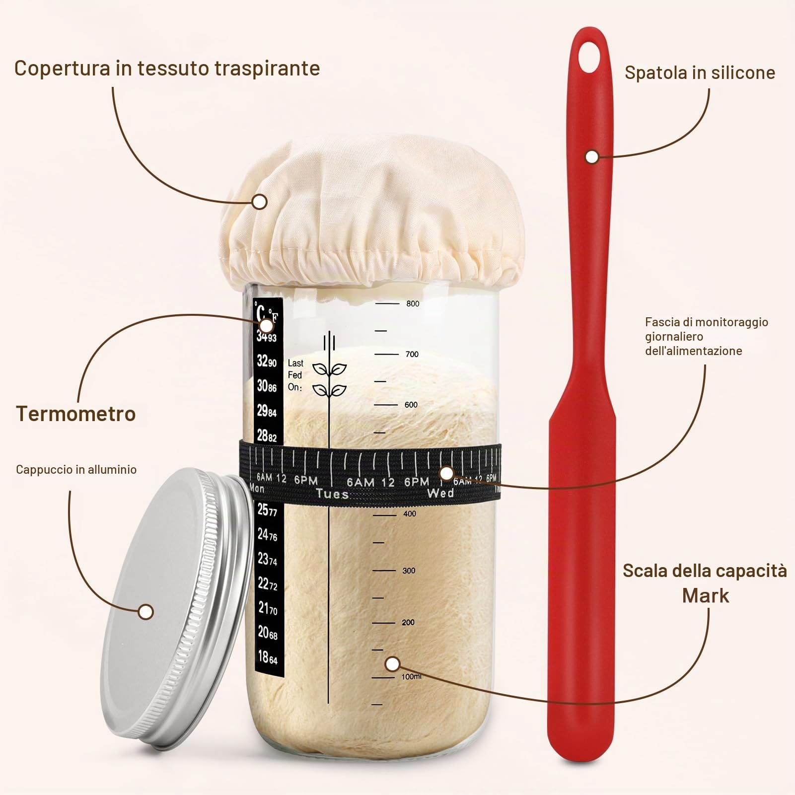 Cestino Lievitazione Pane Set Da 2, Rotondo e Ovale Cesto Lievitazione Pan in Rattan Naturale, Utensili Completi per la Preparazione del Pane per Panettieri Professionisti e Casalingh