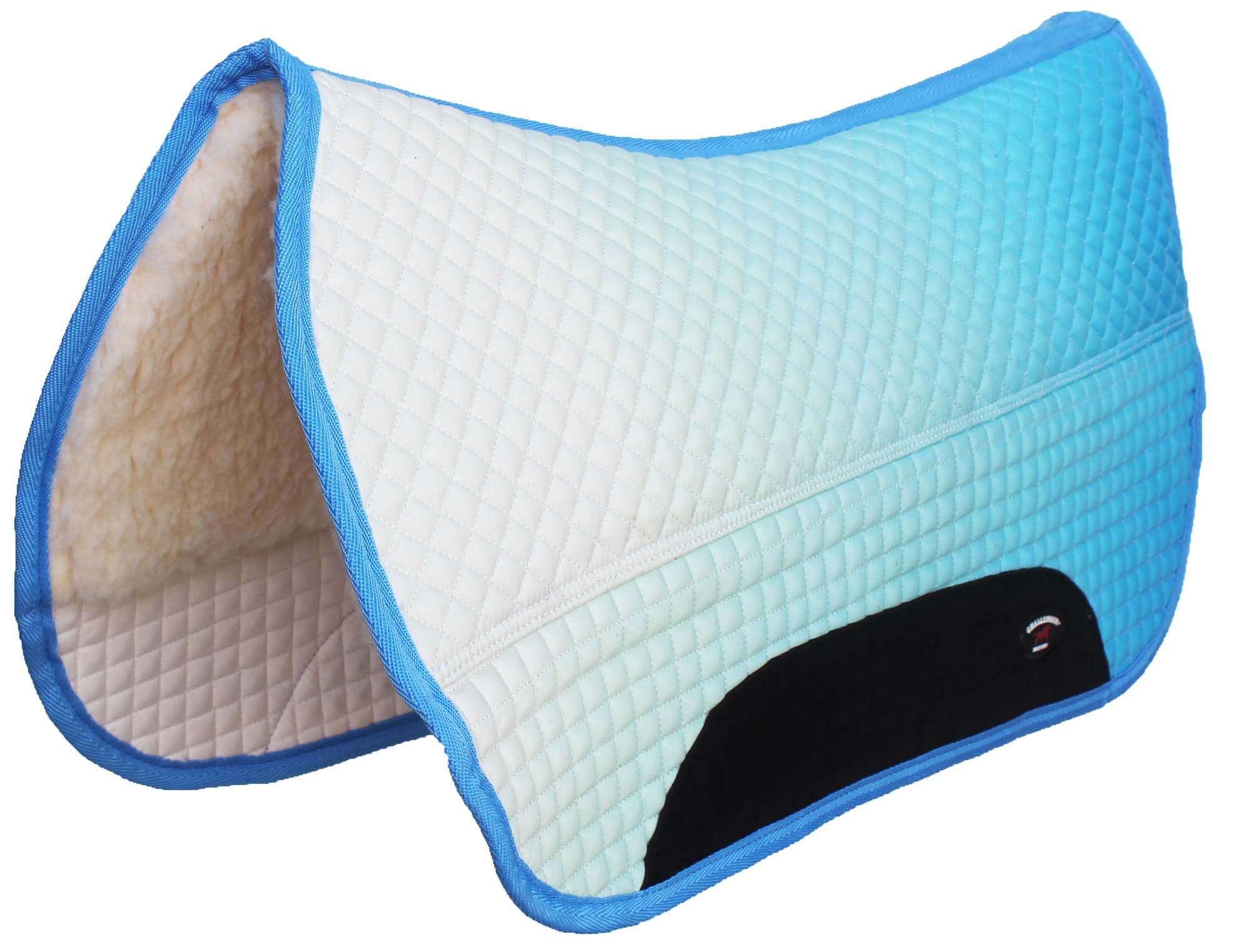 CHALLENGER Horse Western 27