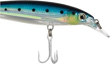 Amazon.co.jp: Rapala(ラパラ) ミノー ソルトウォーター Xラップ