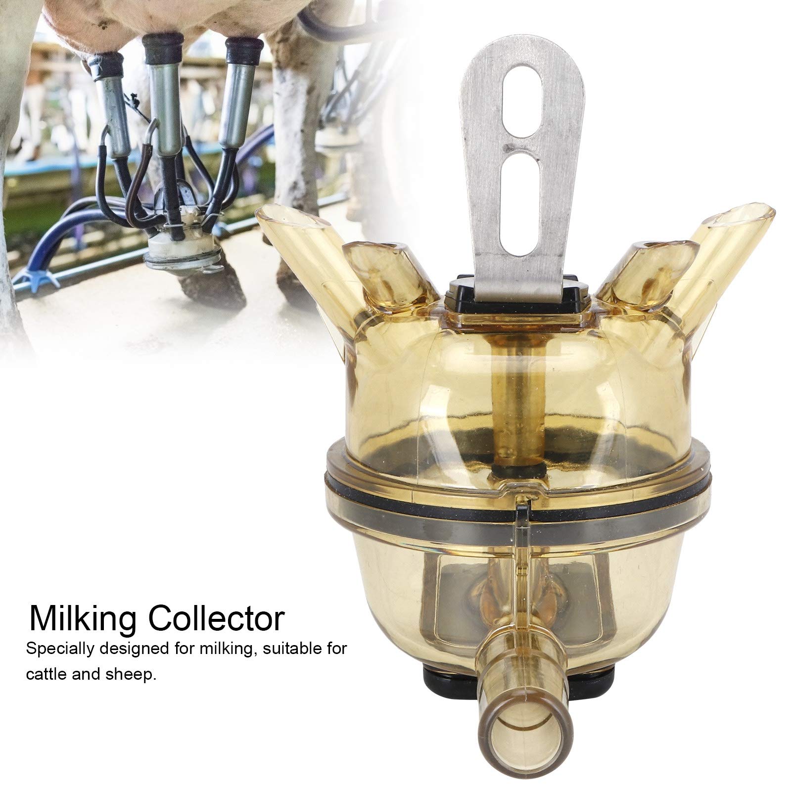 Colector de Ordeño, 515g de Acero Inoxidable y PC para Vaca y Oveja, con Múltiples Colectores Pezoneras