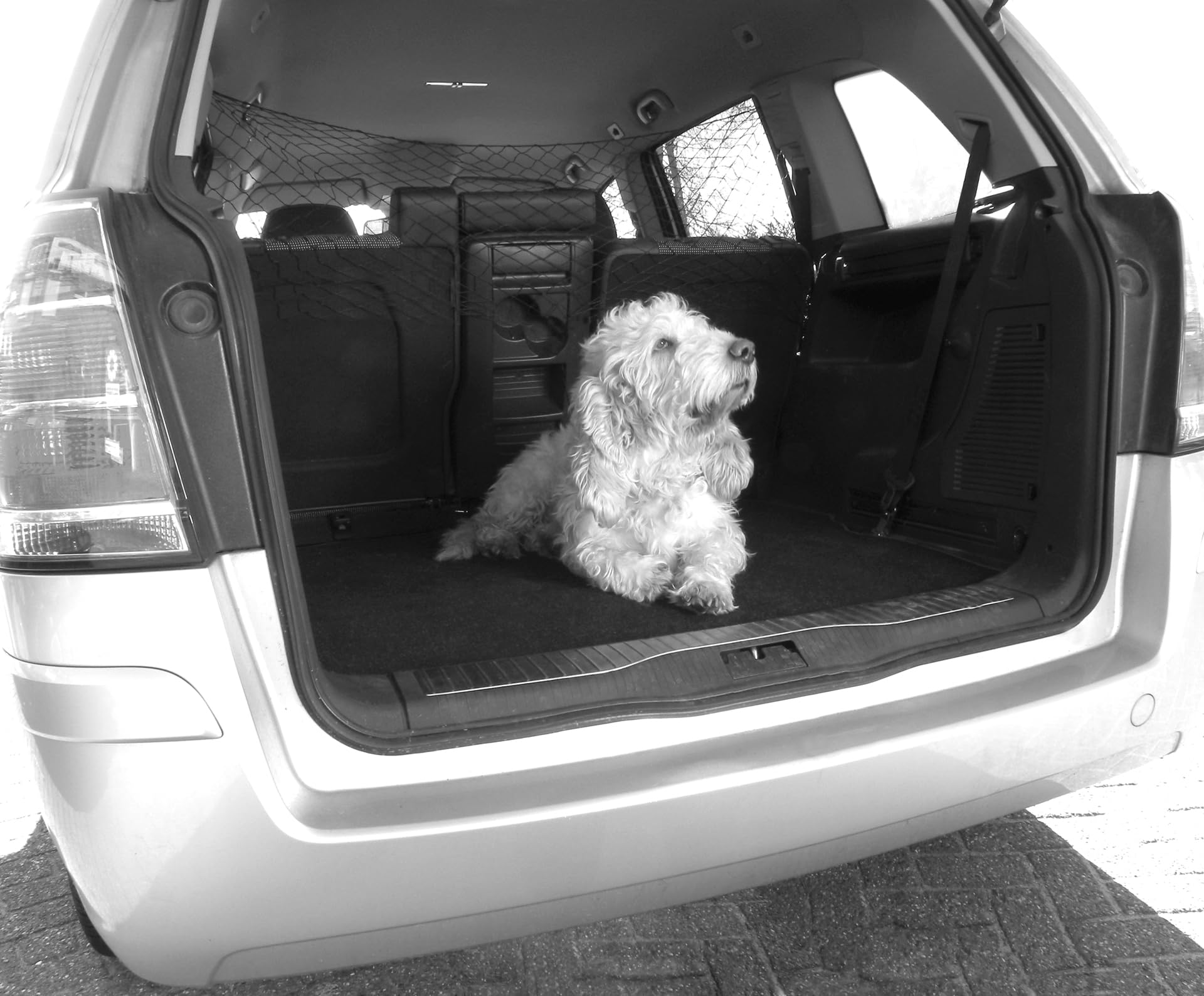 Filet Pare-chien Pour Voiture 130 X 87 Cm - Garde Ton Chien Et Tes Affaires En Sécurité à L'arrière