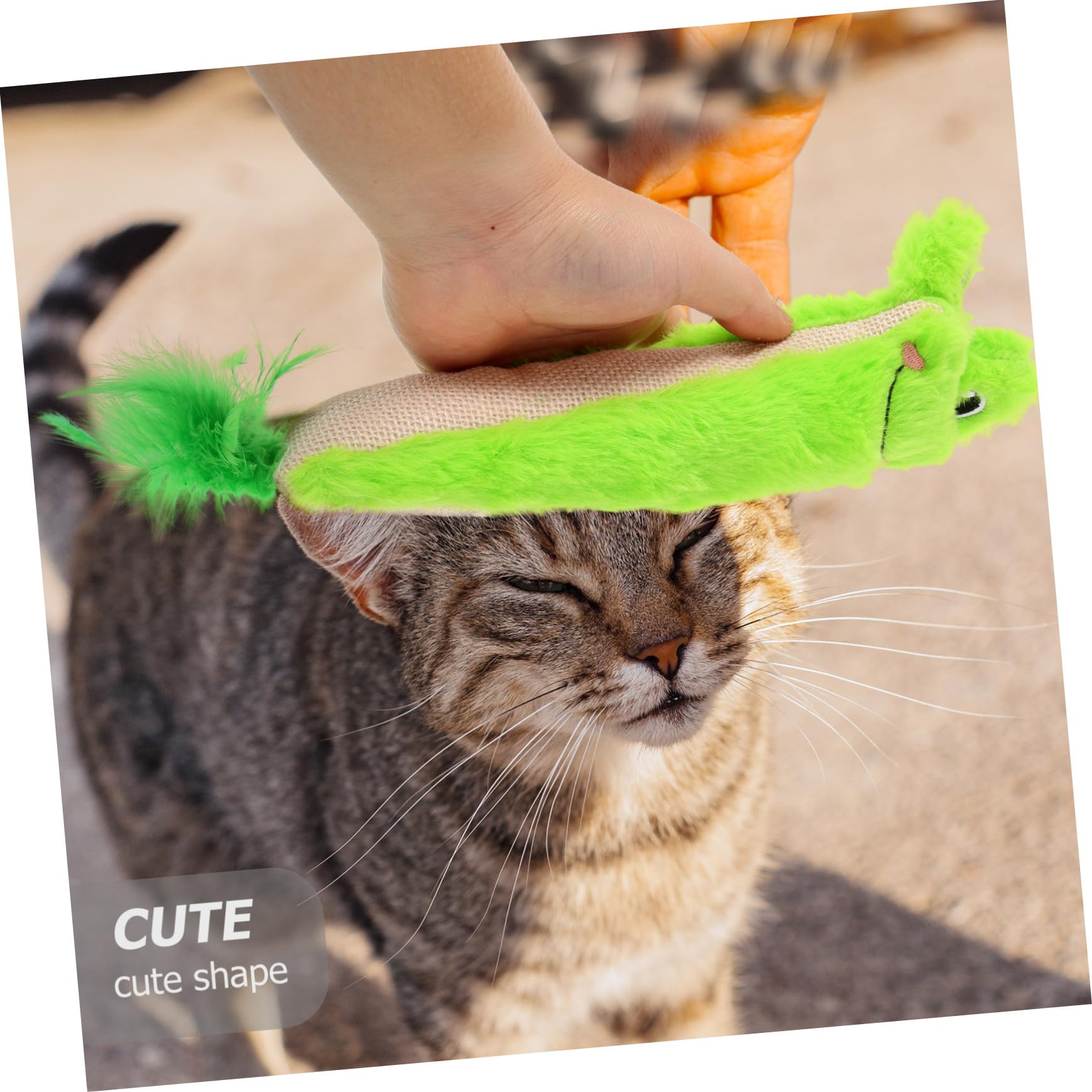 UKCOCO Jouet Chat Herbe Chat Mordre Jouet Chaton Intérieur Interactionnel Chaton Mâcher Intérieur Mâcher