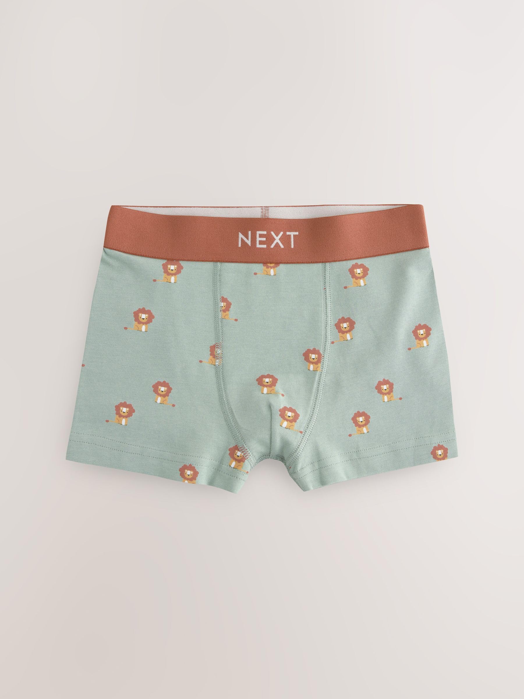 NEXT Jungen Unterhosen im 10er-Pack 86-176