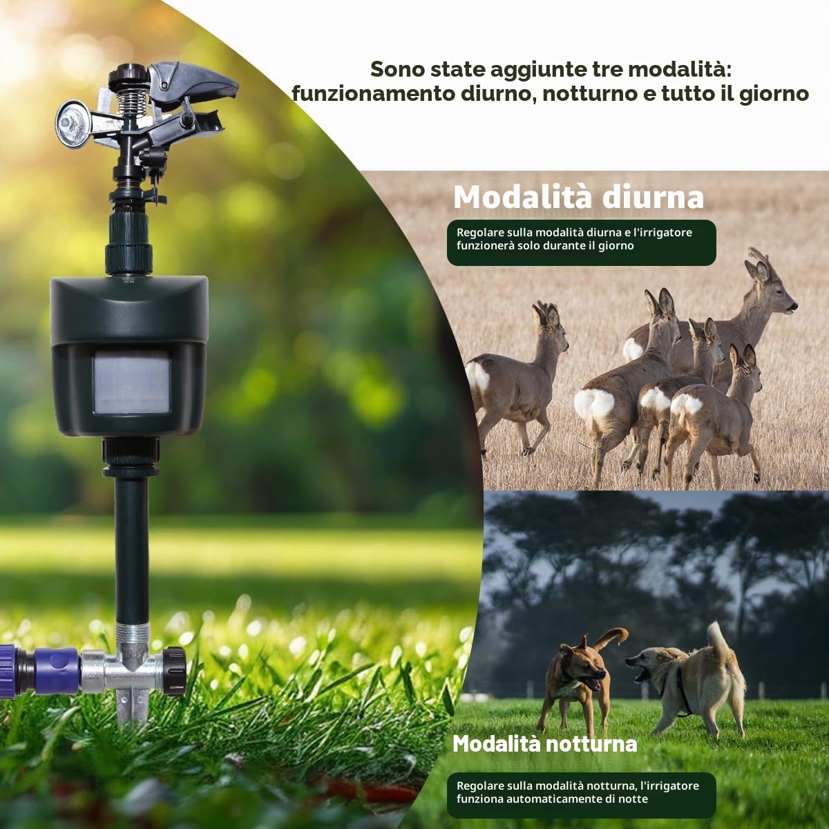 Repellente per uccelli da giardino, con rilevamento diurno e notturno,acqua e uccelli, repellente per aironi, per espellere gatti, procioni, animali selvatici, portata fino a 10 m | Dissuasore per aironi e cani, gatti, martore, procioni, animali selvatici