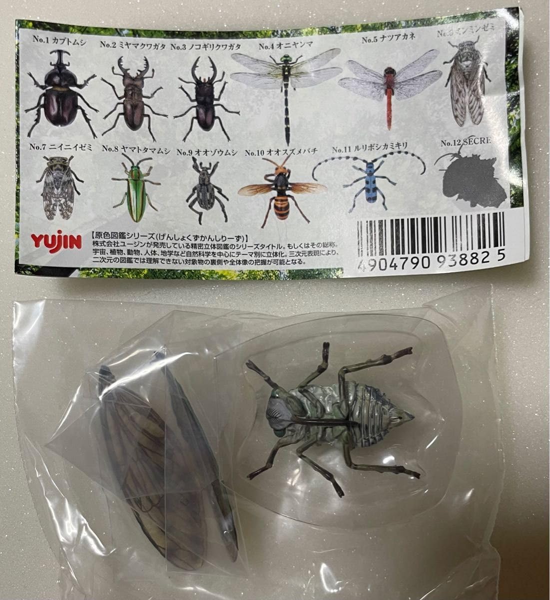 Amazon.co.jp: 原色日本昆虫図鑑I ミンミンゼミ : おもちゃ