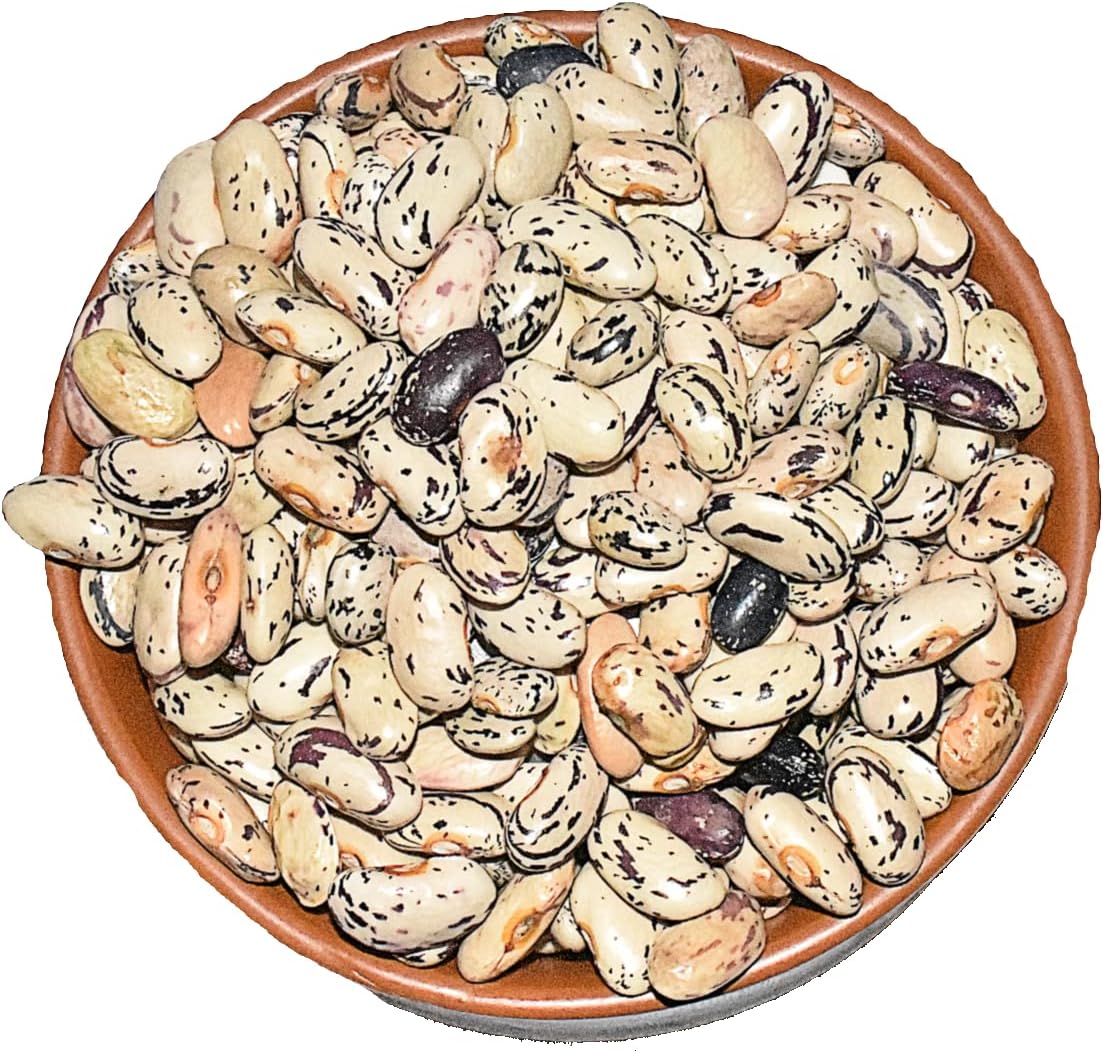Myor PahadUnpolished Ramgarh Safed Chitra Rajma/White Speckled Beans Dry| 480 GMS| Healthy & Wholesome Food Healthy Pulses| Produce Directly Harvested