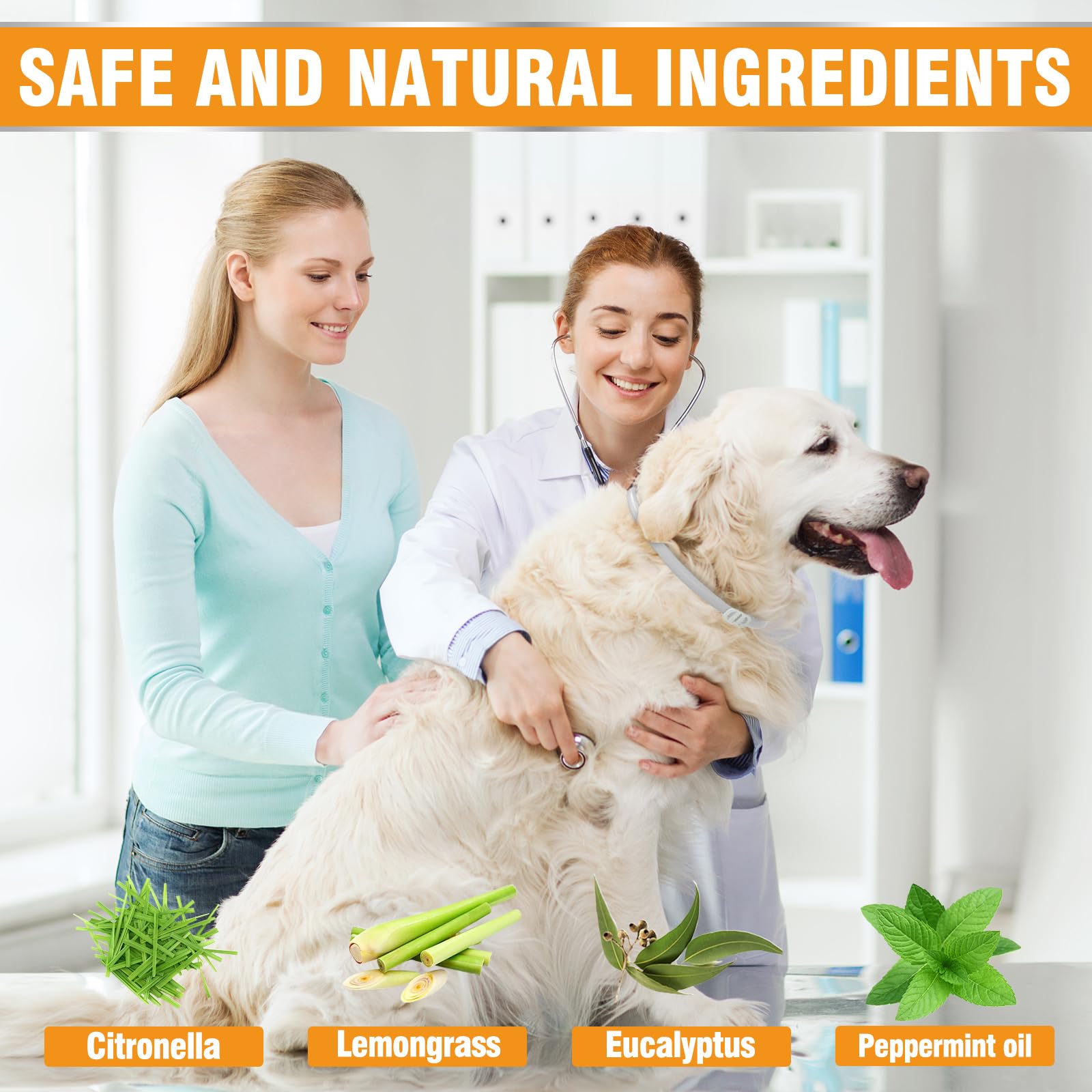 Collare Antiparassitario Per Cani, 12 Mesi Di Protezione Efficace, Collare Antipulci Cane Da 65cm, Regolabile e Impermeabile, Efficace Repellente Per Insetti, Adatto a Cani Di Tutte Le Taglie (1 Pack)