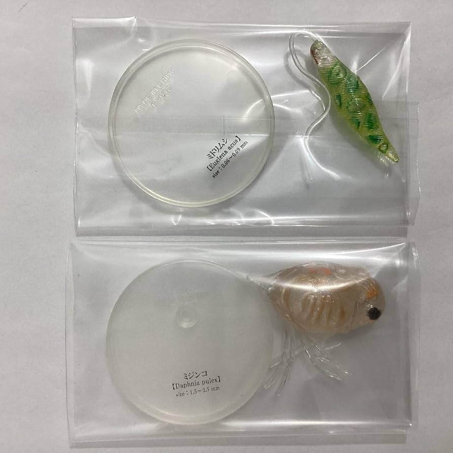 Amazon.co.jp: タカラトミーアーツ 不思議生物大百科 極小の共存