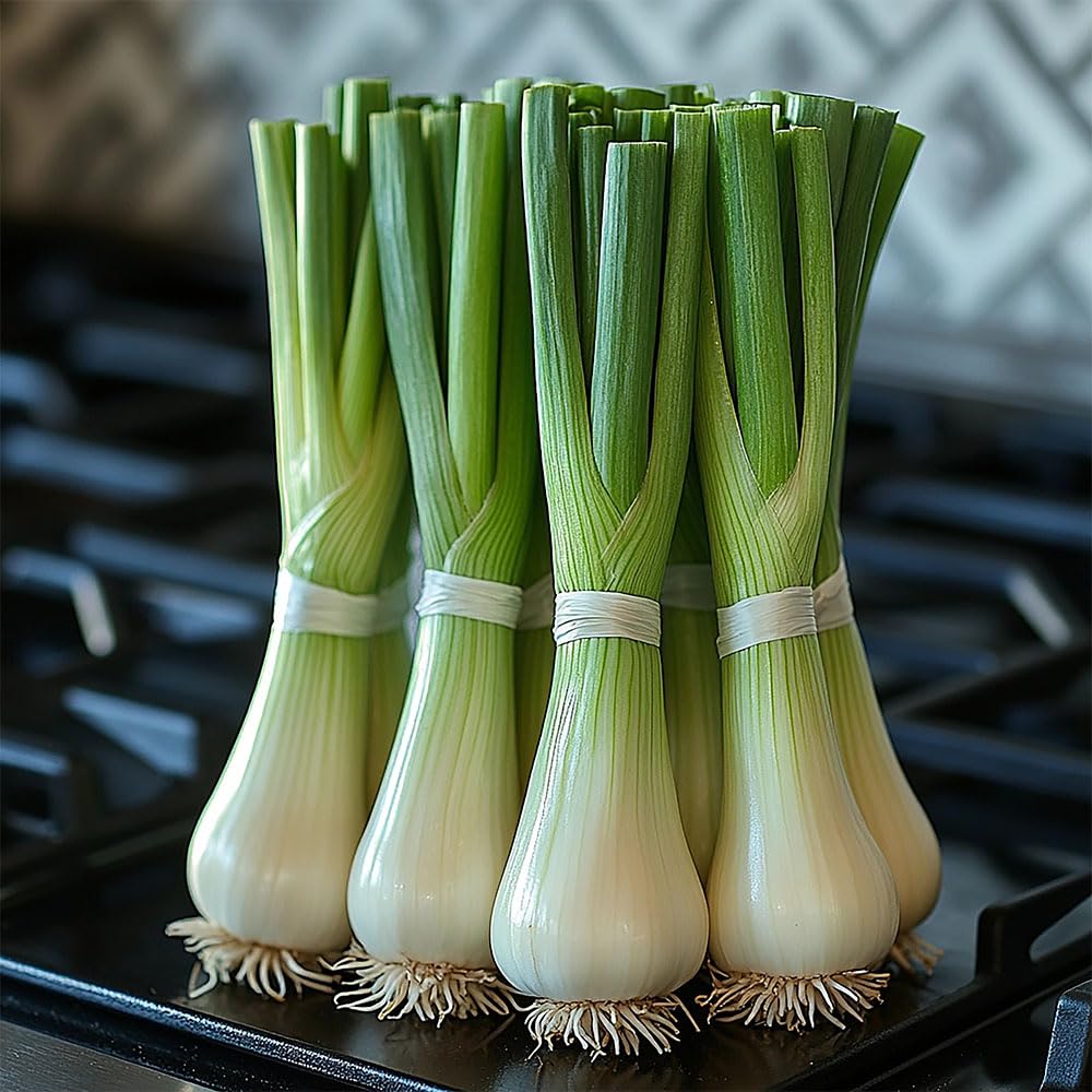 Leek Seeds – Carentan Variety – Heritage Late Organic Type – Thick White Stems, Hardy & High Yield – Easy to Grow