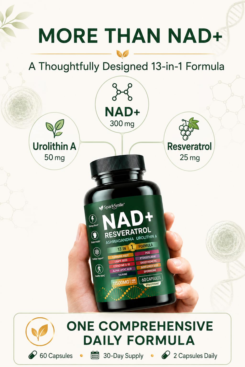 NAD Supplement for Women & Men, 13-in-1 NAD+ Complex with Urolithin A, Resveratrol & CoQ10, Cellular Energy, Focus & Daily Vitality Support, 60 Capsules — Amazon image 2