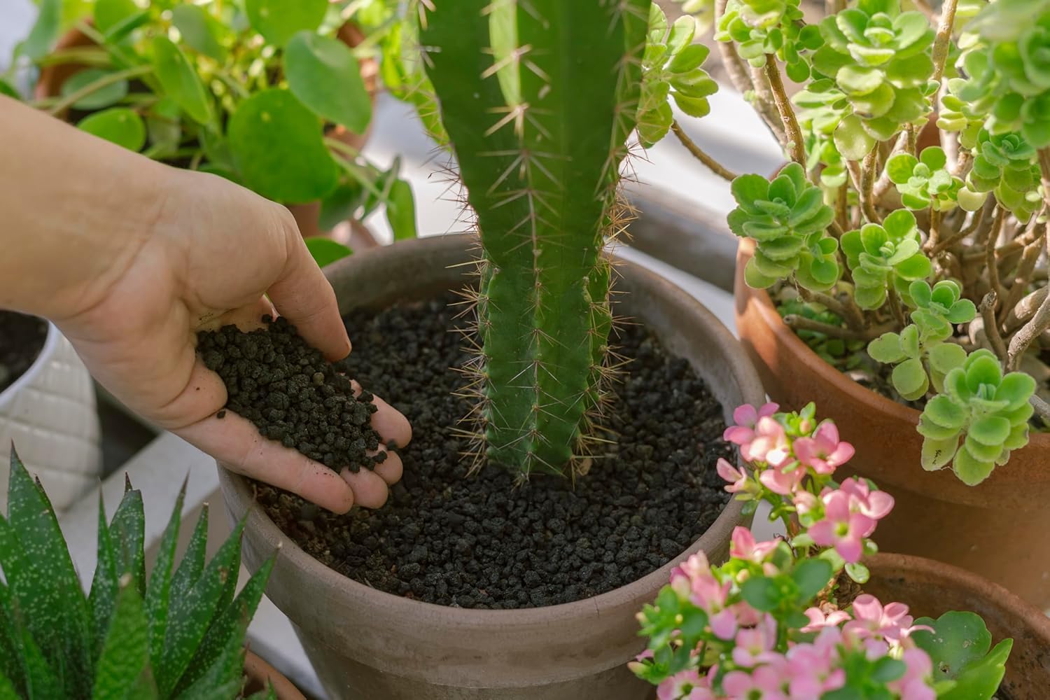 R&R SHOP – Piedra Volcánica Negra Fina, 100% Natural, pH Neutro, Ideal para la Germinación y el Crecimiento de Las Plantas, 0–8 mm (5L)