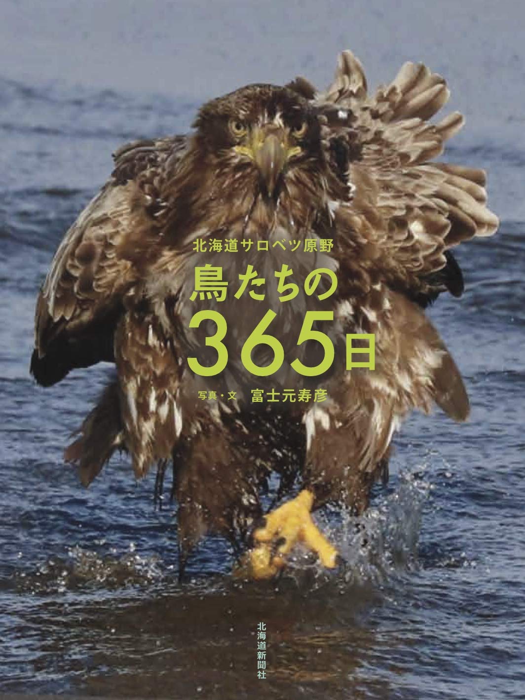北海道サロベツ原野 鳥たちの365日