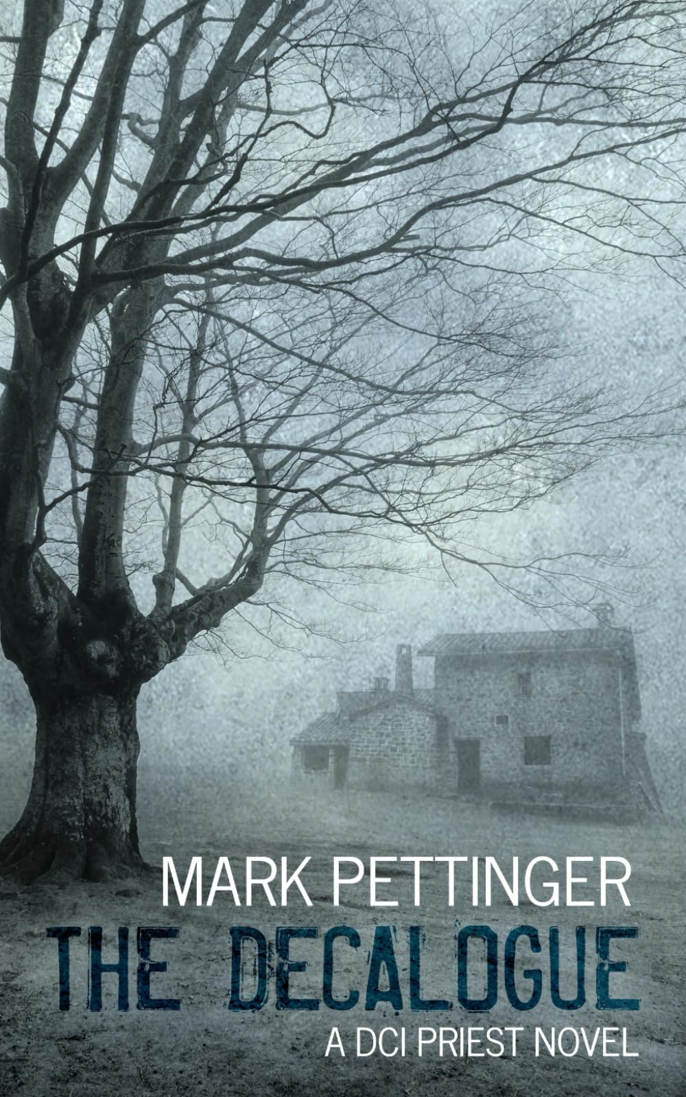The Decalogue: (DCI Priest Series Book 1)