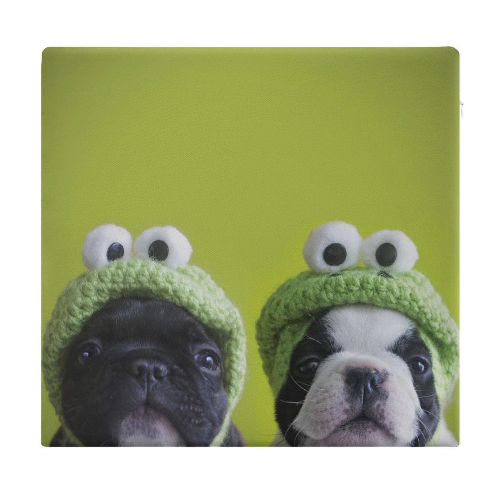 JZemdybill Chair Pad, French Bulldog with Frog Hat Seat Pad, Square Chair Cushion for Yoga Living Room Balcony