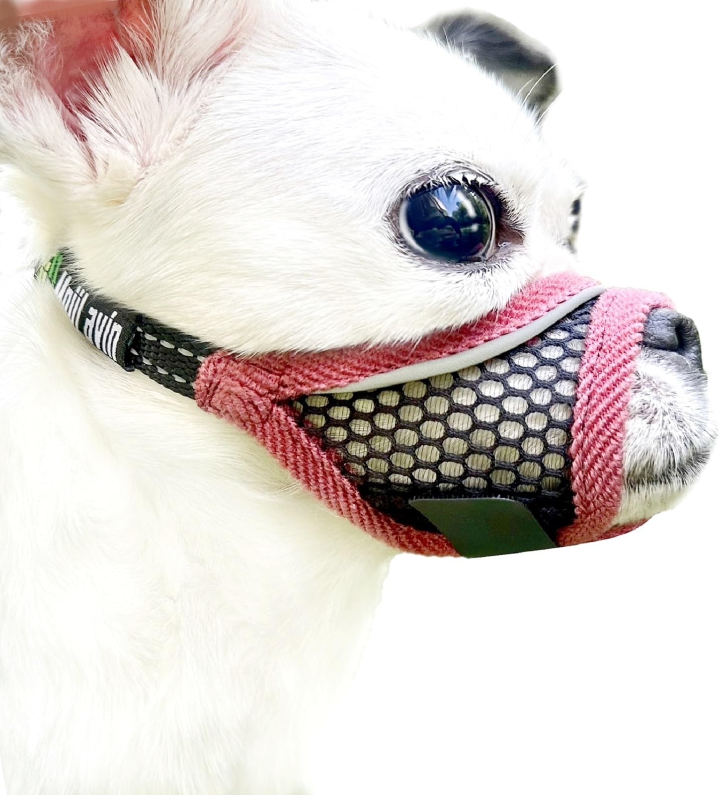 Dog Muzzle, Soft Mesh Muzzles for Small Medium Dogs for Barking Biting Grooming Vet Visits, Short Snout Puppy Mask Allows Drinking, Breathable Mouth Cover 10-20 lbs (Cherry-red, S)