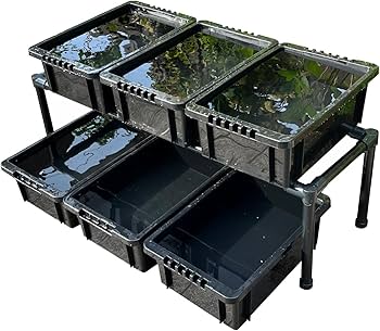 材料高騰の為残りわずか　メダカラック　めだか棚　ご希望サイズ！　めだか　メダカ Amazon | おひさまめだか メダカ飼育ラック (黒, 1段6個置き