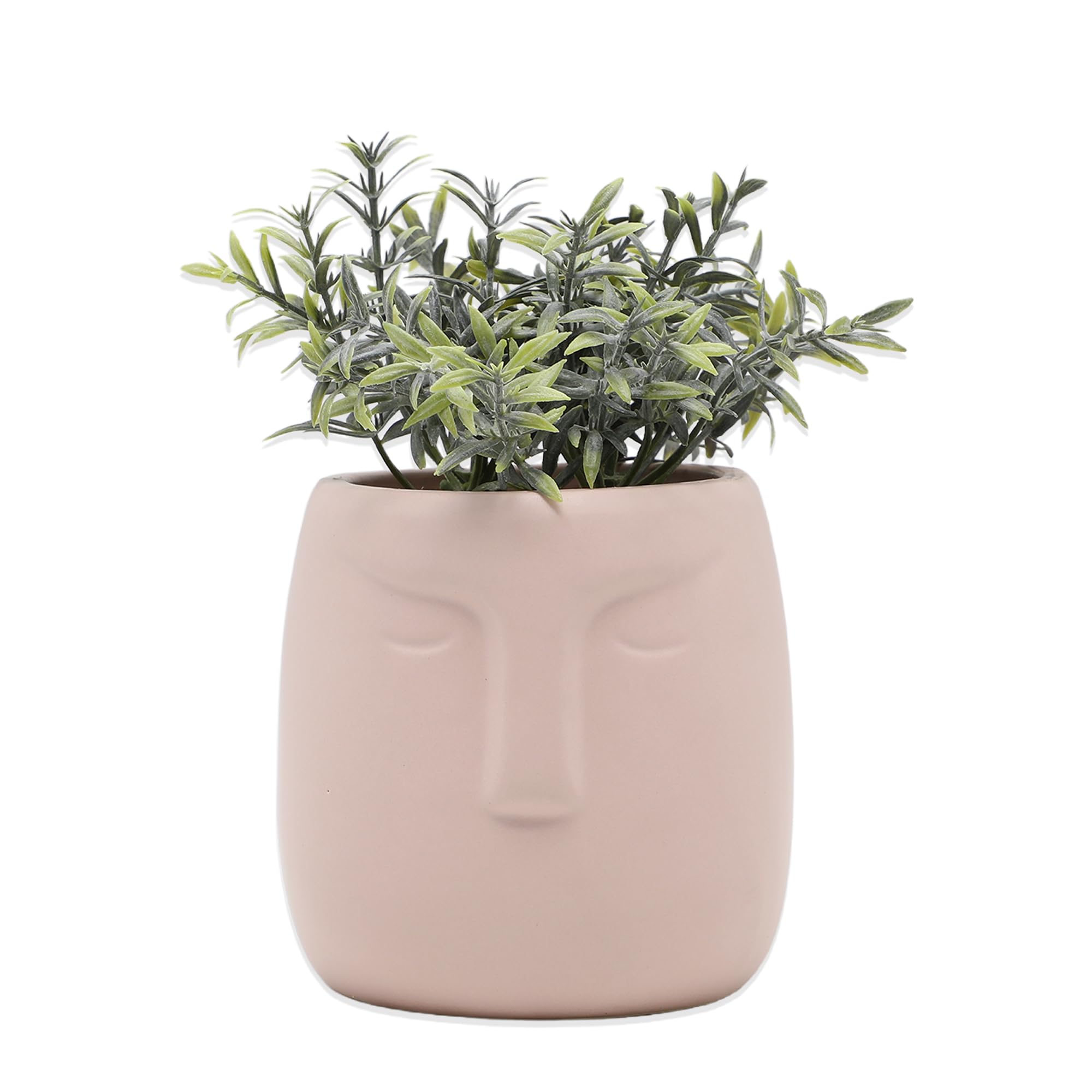 Anko Ceramic Pot Planter - Pink | Showpiece for Home Decor, Office Desk, Bedroom, Balcony, Living Room, Table Top | Realistic Decorative Item | Gift Idea for Plant Lovers (B0CCJLQD48) Amazon Price History, Amazon Price Tracker
