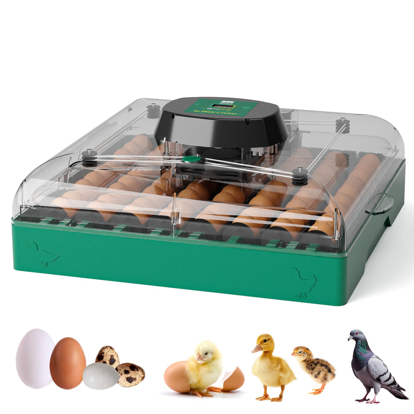 Incubatrice Automatica per 72 Uova, Incubatrice Professionale con Controllo di Temperatura e Umidità, Incubatrice per Gallina Anatra Quaglie