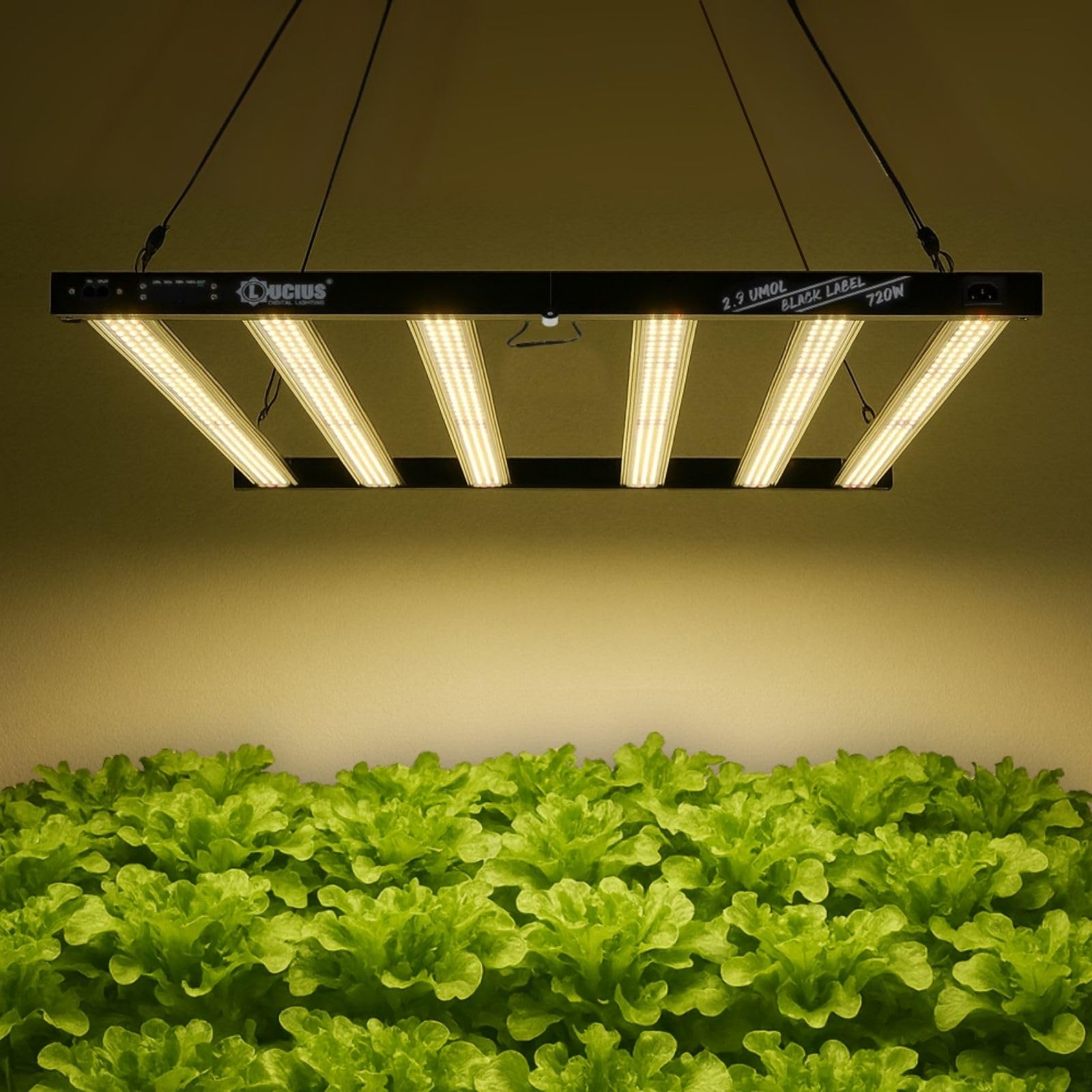 LUCIUS - Lámpara LED de 720W 2.9 - Cultivo interior - Luz de espectro completo Crecimiento/Floración, Potencia regulable Regulable - Para Invernaderos y plantas interior, hortalizas y flores