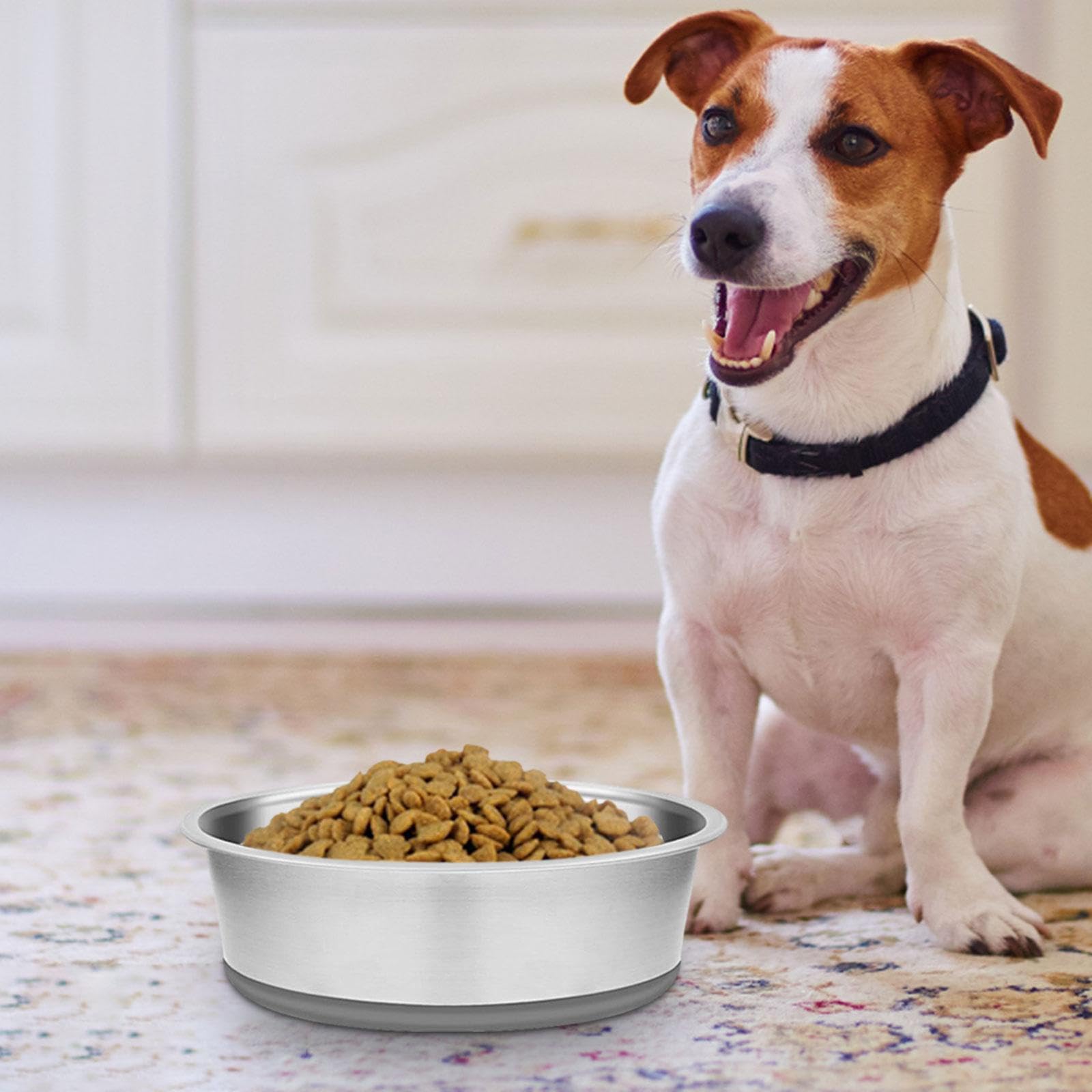 Comedero para Perros de Acero Inoxidable, Base de Silicona Antiahogo Y Antitragantamiento, Ideal para El Hogar Y Tiendas de Mascotas, 26cm
