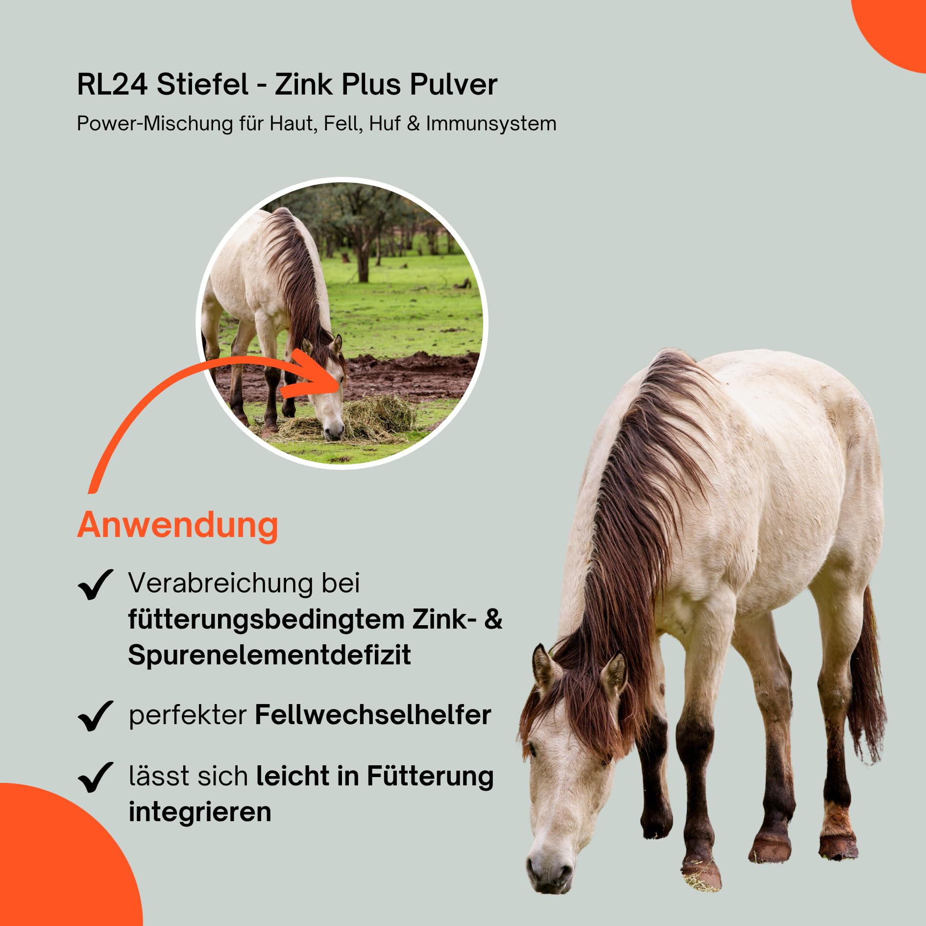 RL24 Stiefel - Zink Plus Pulver – 2 x 900 g Dose (2er Set) | Zink für Pferde für Haut, Fell, Huf & Immunsystem – Fellwechselhelfer mit Selen, Eisen, Kupfer & Mangan