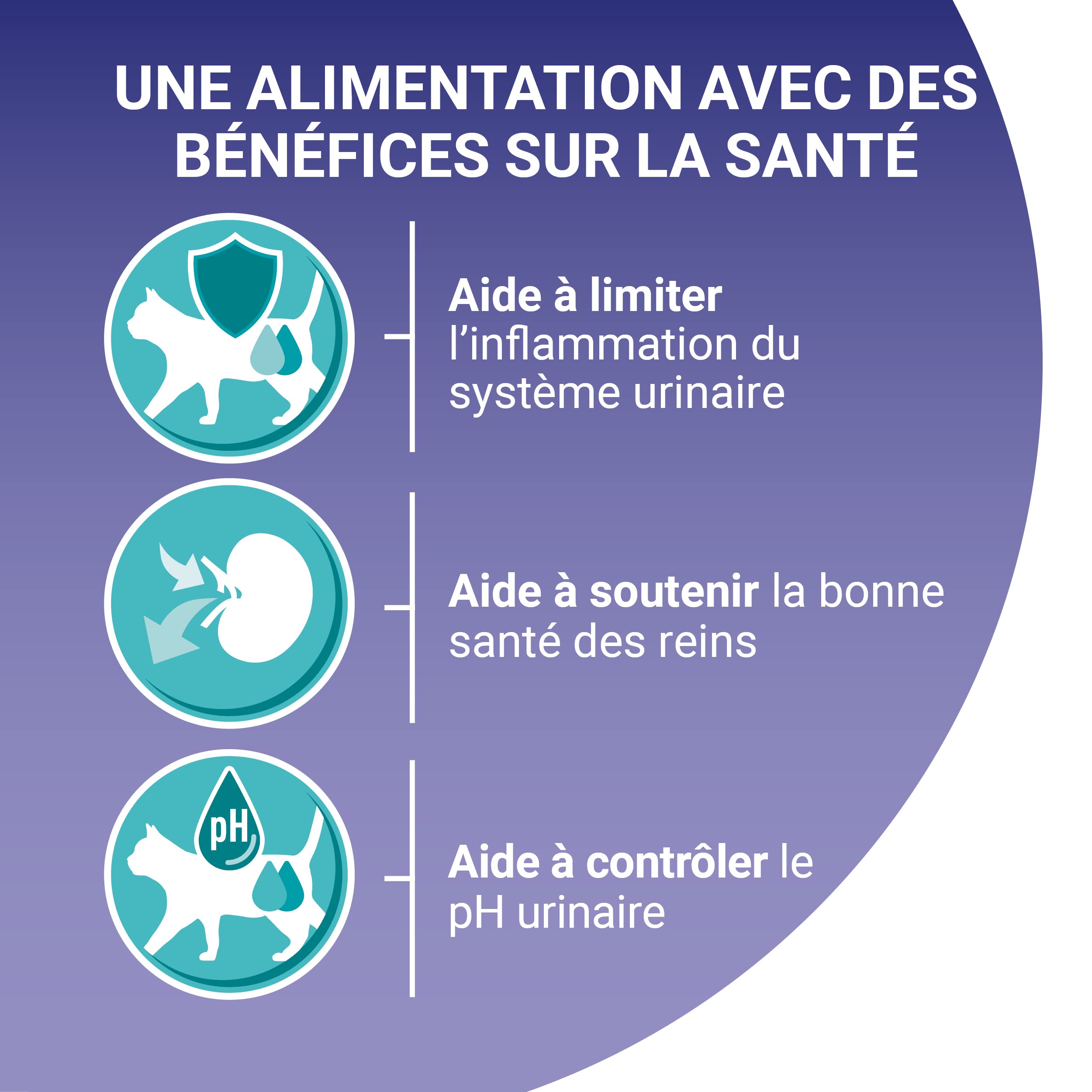 PURINA ONE | BIFENSIS | Chat Adulte | Spécial Système Urinaire | Aide à limiter l'inflamation du système urinaire, à soutenir la bonne santé des reins | Croquettes | Au Poulet | Sac | Lot de 10 x 450g