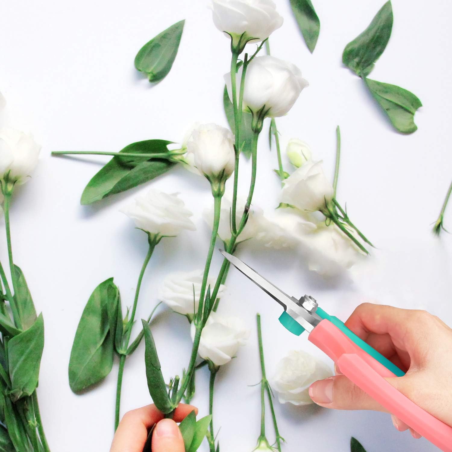 Housolution Floral Shears, Premium Steel Garden Pruning Shears Floral Fruits Leaf Scissors Hand Pruner Snip Trimming Tool for Gardening Flower Arrangement, Turquoise + Pink : Patio, Lawn & Garden