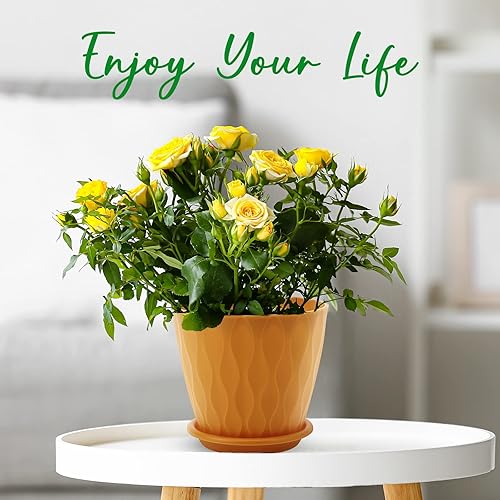 Miniatura 8 de Macetas de riego automático para interiores con agujeros de drenaje y platillos, 8, 7, 6.5, 6, 5.5, 5 pulgadas