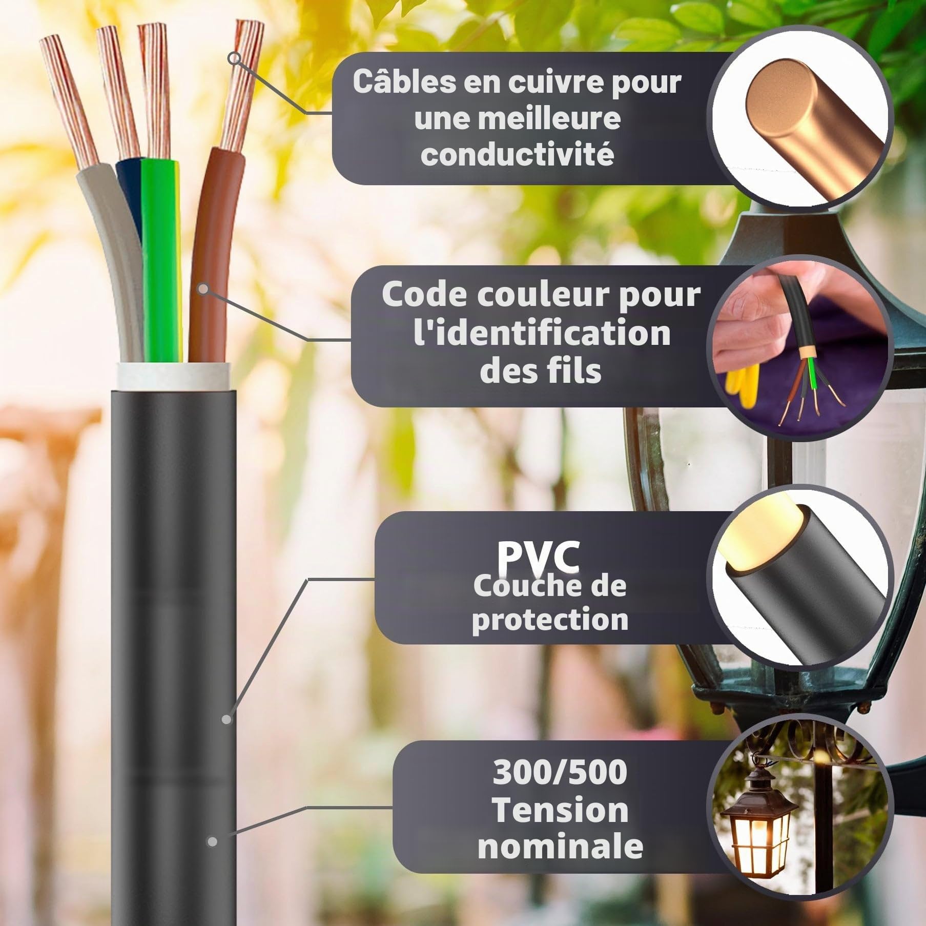 MAS Premium Câble d'alimentation en caoutchouc H05RR-F 4G 0,75 mm² - De 5 à 100 m - Pour appareils manuels et appareils légers (50 m)