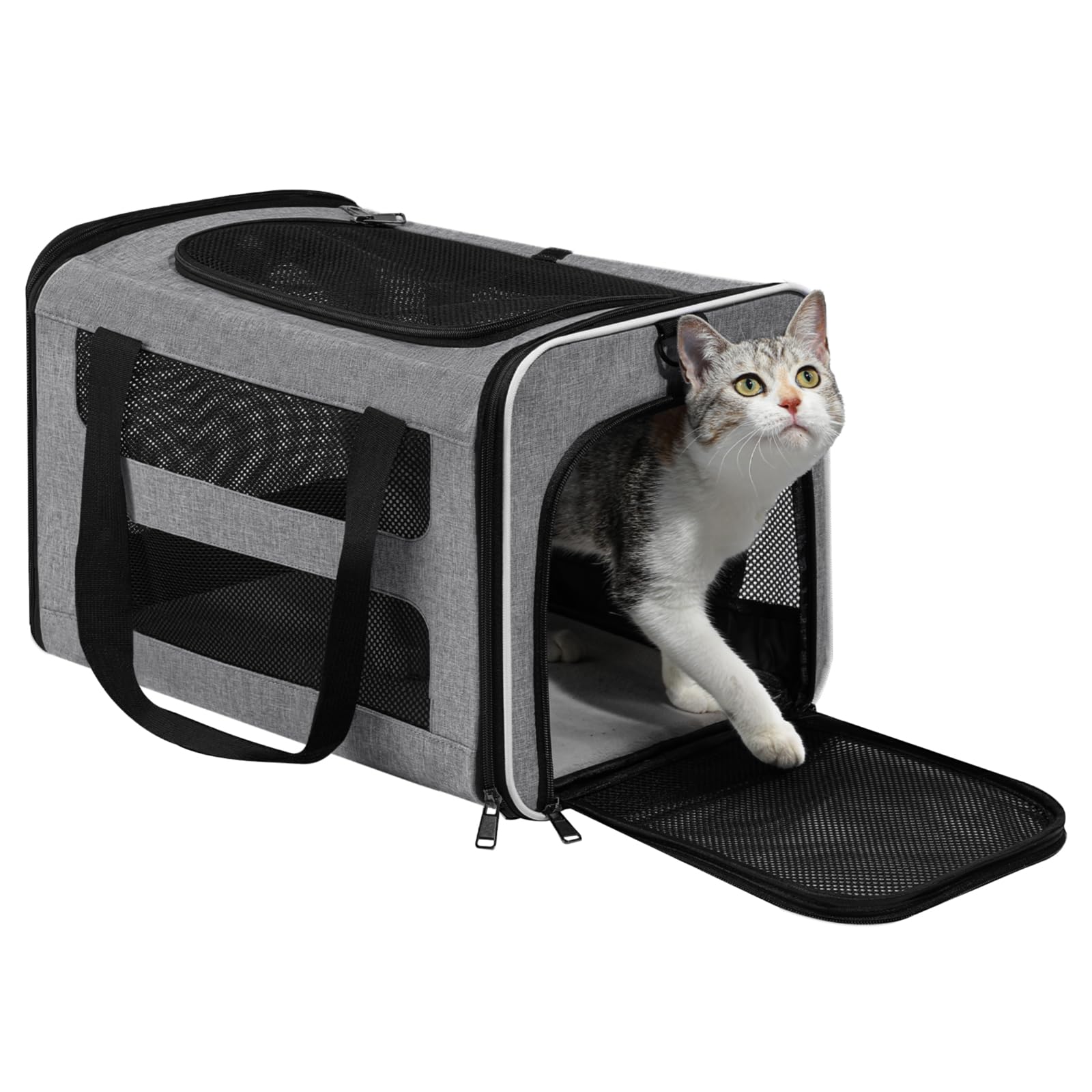 Cat Carrier Soft-Sided Travel Bag for Medium to Large Cat Over 15lbs