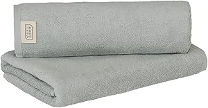 タオル研究所 [スピードドライ 3D] #009 バスタオル スモークブルー 2枚セット 速乾 中厚手 東レ共同企画 省エネ サステナブル 耐久性 420GSM JapanTechnology