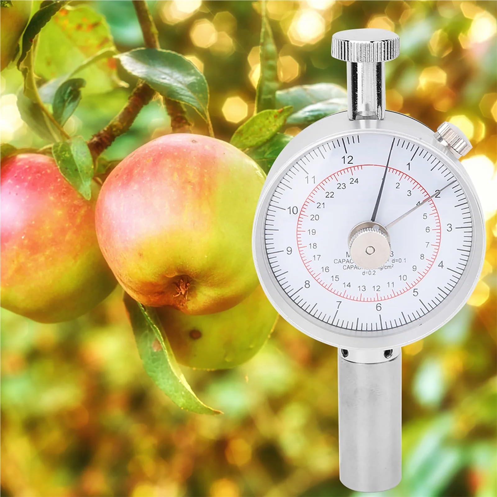 Durometro, Frutto Sclerometro Display Penetrometro Durometro ad alta precisione con 2 teste di misurazione di Precisione