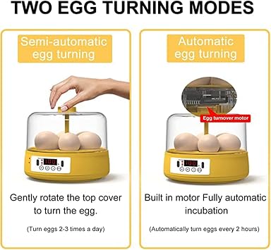卵孵化器、4/6卵半自動デジタル孵化機、手動で卵を回す、ひよこ育雛器、LED照明卵孵化器、鶏ウズラオウムアヒルの孵化用 6 pieces