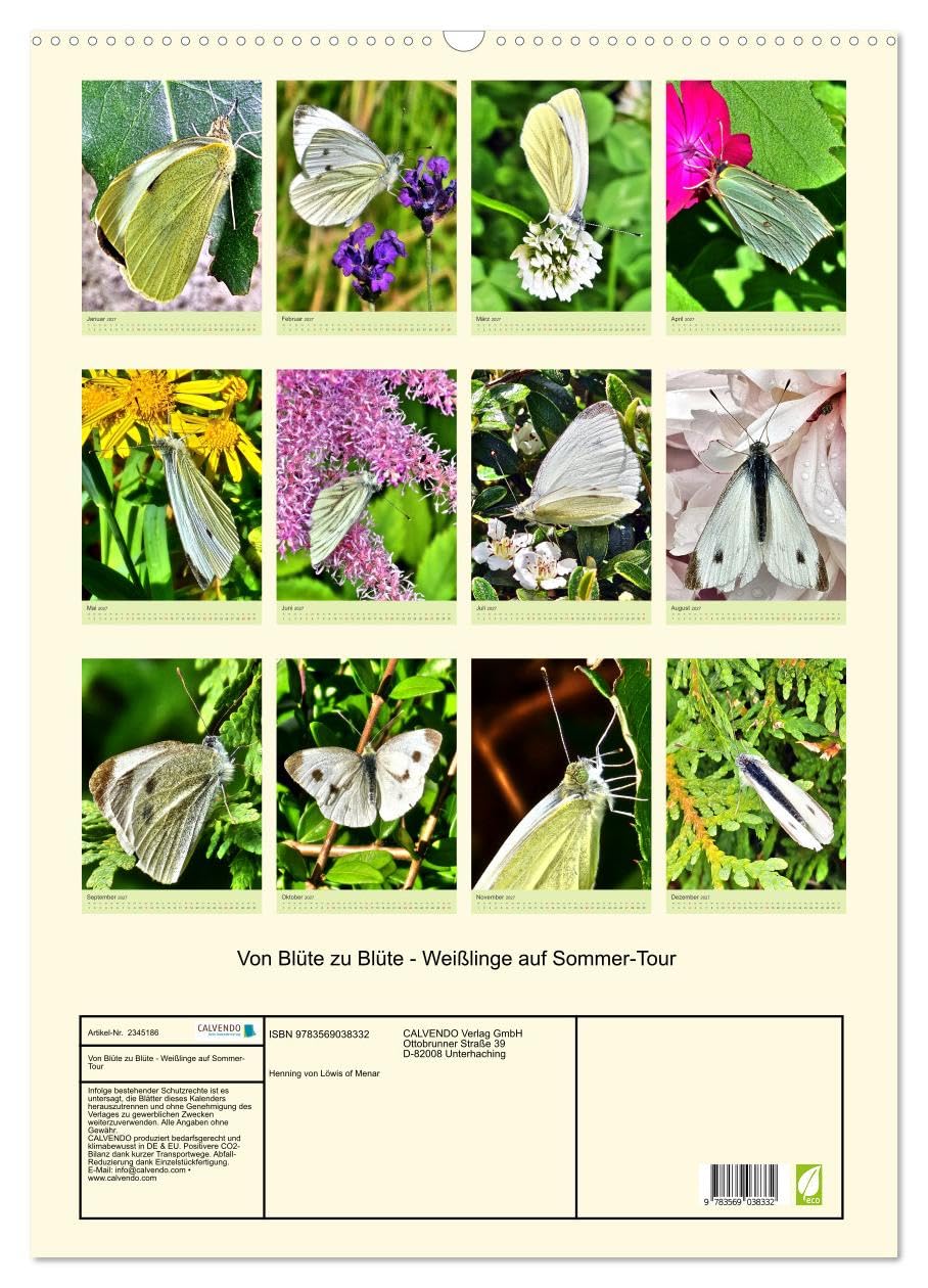 CALVENDO - Von Blüte zu Blüte - Weißlinge auf Sommer-Tour (Wandkalender 2027 DIN A2 hoch), Monatskalender: Verschiedene Schmetterlinge der Familie der Weißlinge