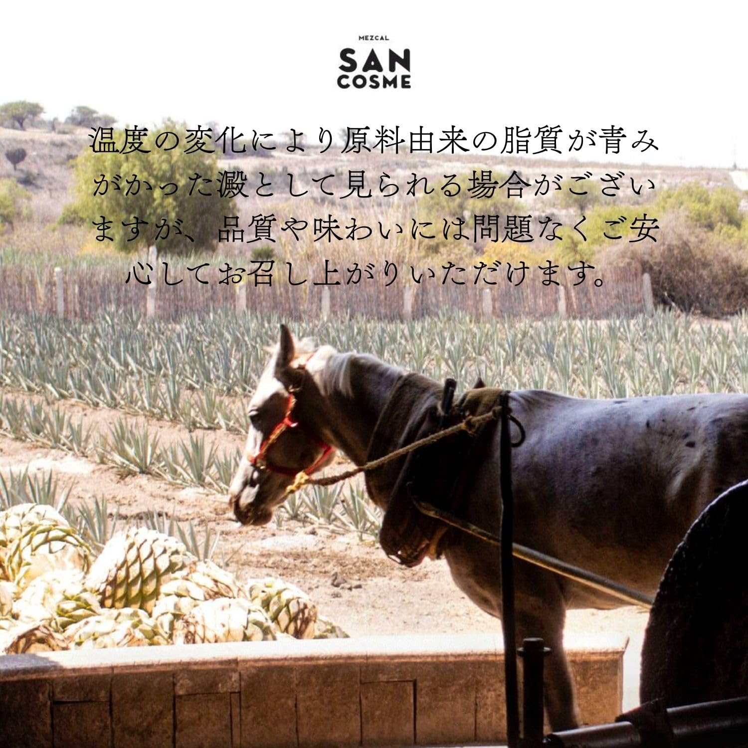 Mezcal San Cosme | Premium Agaven Spirituose aus Oaxaca | echte Handwerkskunst | 100 % Espadin-Agaven | Das Beste aus Mexiko | 700 ml | 40 % Vol.