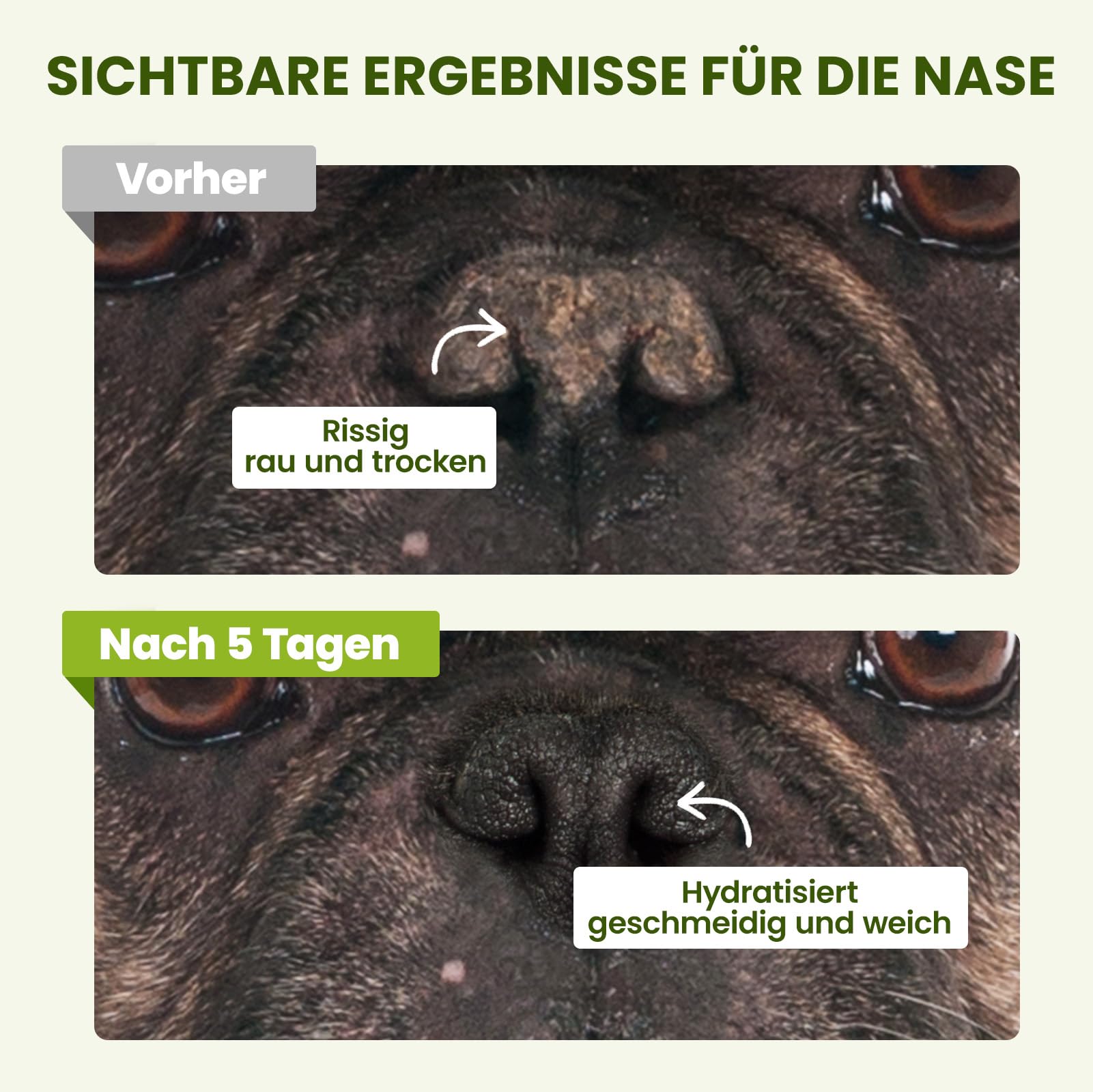 PawSono Pfotenbalsam Hund und Katze mit Kokosöl 60g | Sicher Ableckbar | 100% natürliche Pflege Pfotenpflege Nasenbalsam für Trockene, Rissige Nase und Pfoten | Hundepfoten Balsam Auch für Pferdehufe | Pfotenbalsam Hund und Katze mit Kokosöl 60g