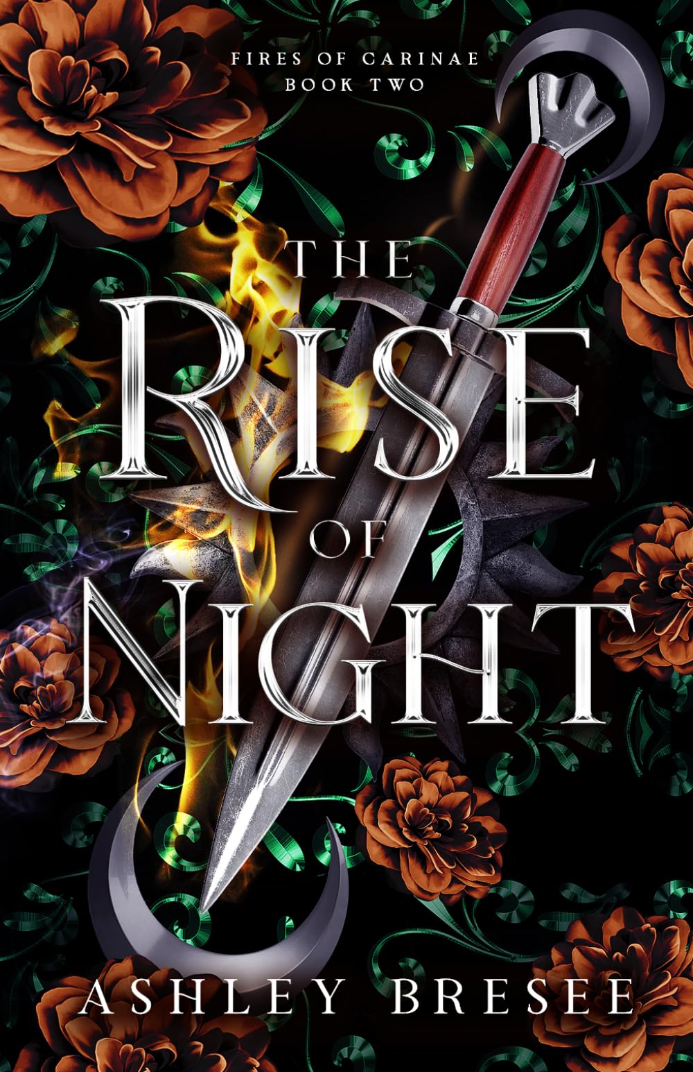 The Rise of Night: A Dark Fantasy Romance: 2 (Fires of Carinae)