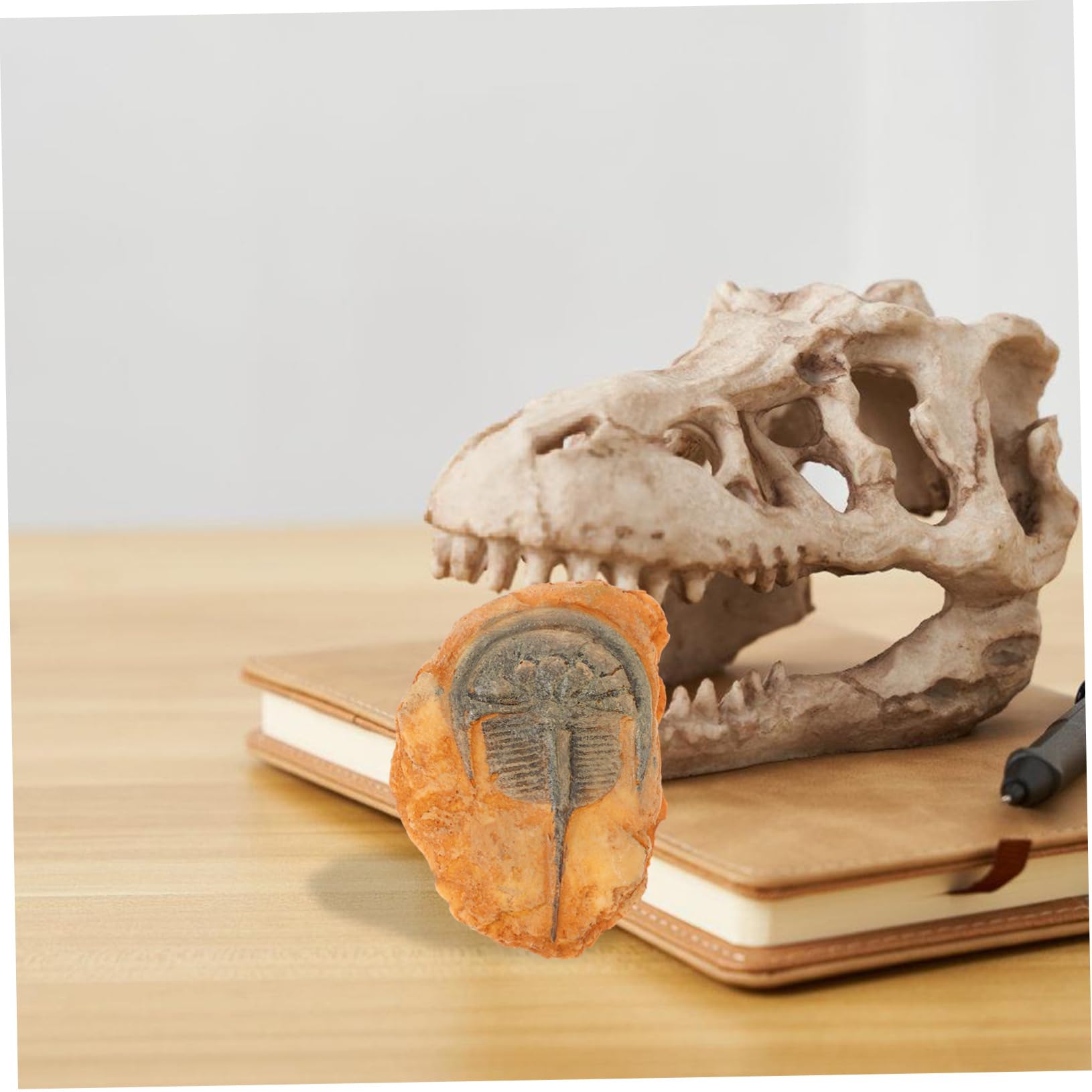 BUGUUYO Insect Paleontological Specimen Insect Ornament Paleontological Insect Teaching Insect Resin