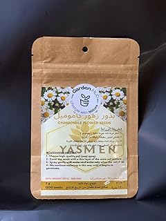 Chamomile Flower Seeds | 1200 Natural Seeds - Non-GMO