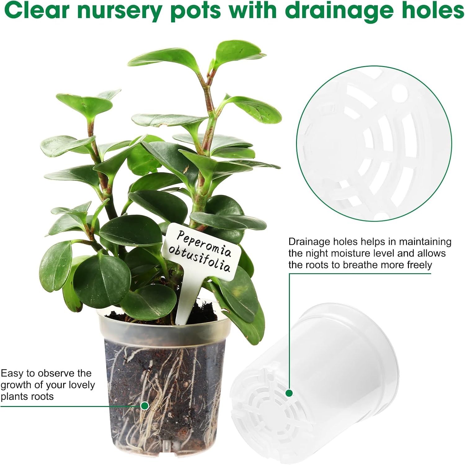 30 Pcs 3.5 Inch Clear Nursery Pots for Plants, Transparent Plastic Plant Pots with Drain Holes, Seed Starter Pots with 20 Plant Labels for Flowers Vegetable Seedlings