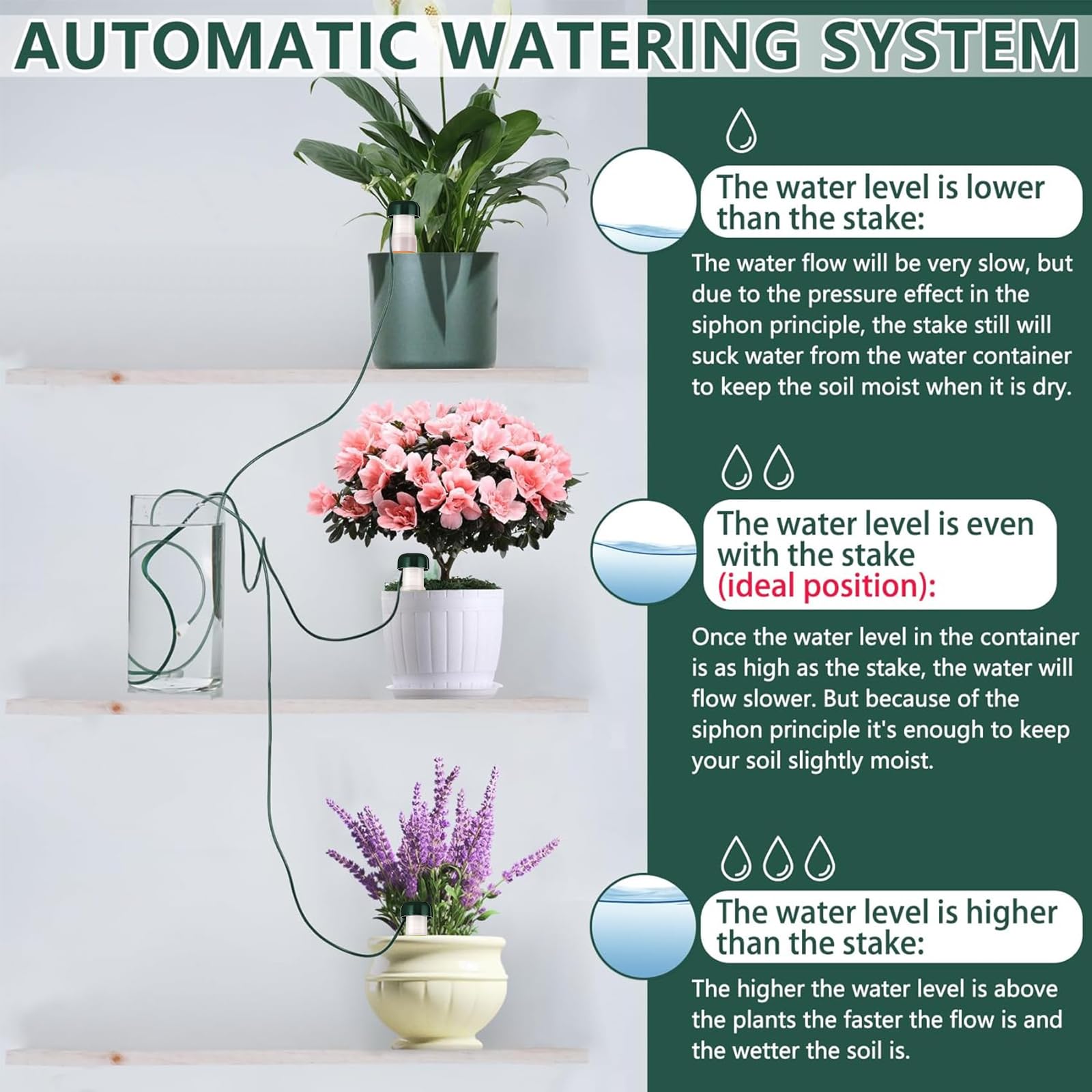 Irrigation des Plantes,Cône d'argile pour Arrosage des Fleurs, Gadgets de Jardinage pour Plantes en Pot,Balcon et Plantes d'intérieur(10 Pcs)