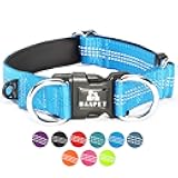 BAAPET Comfortable Dog Collar with Double Security Dual D-Ring and ID Tag Hanger for Small Puppy, Medium and Large Dogs (XS - 3/4