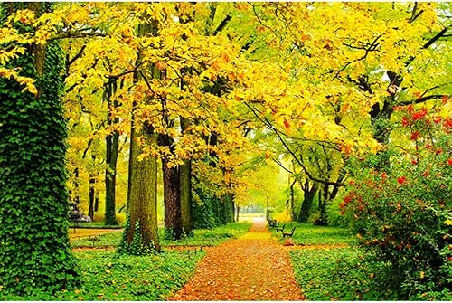 Educational Game Puzzle, Autumn Leaves Art Puzzle, 5001000150020003000 Pcs, Adult Wooden Puzzle Home Decoration, Children 'S DIY Toys