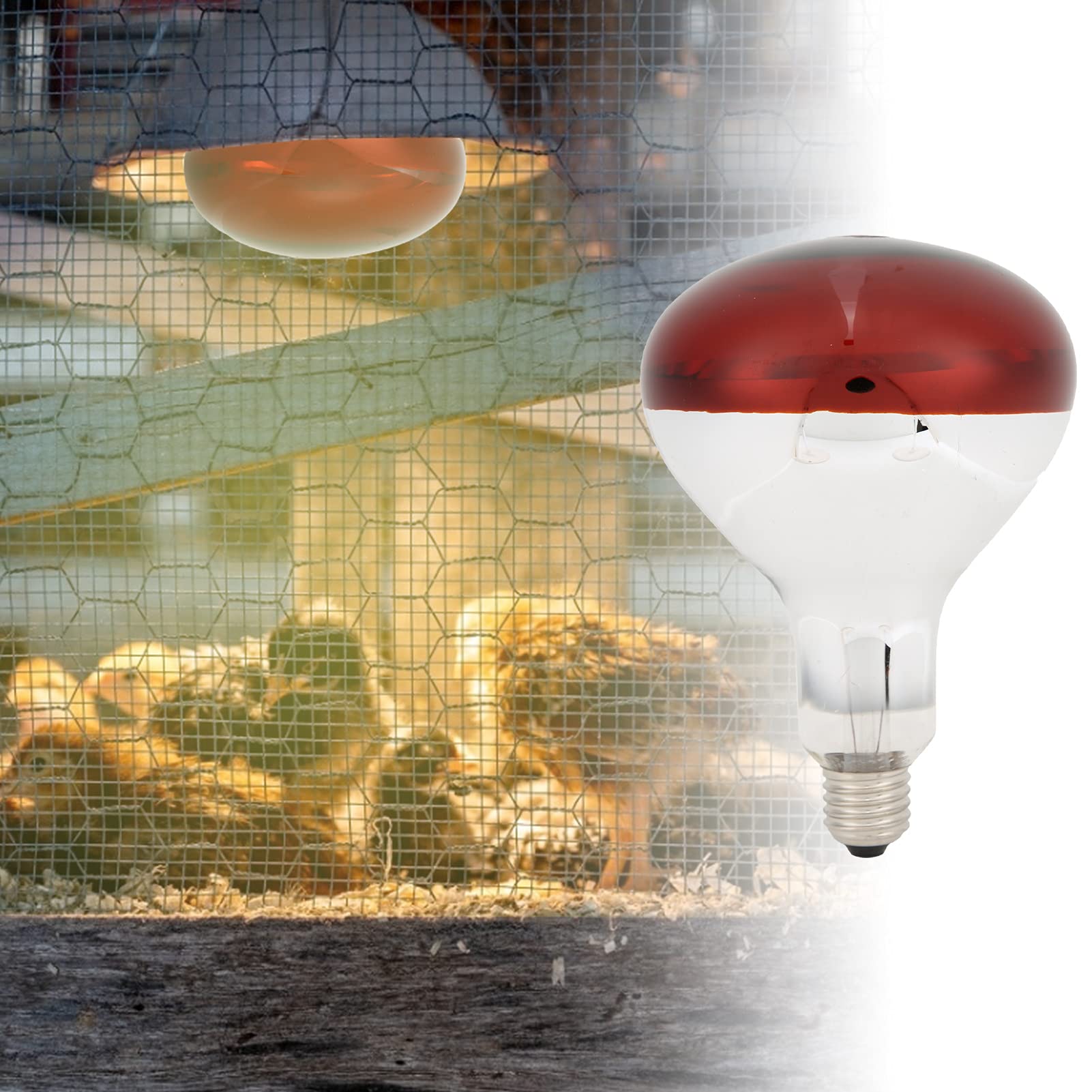 Yctze Ampoule de Lampe Chauffante pour Poussins, Ampoule à Réflecteur Infrarouge en Verre 250 W pour Poulet et Volaille