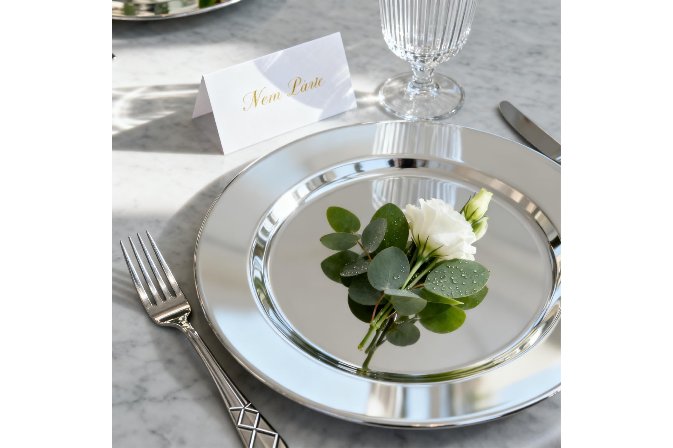 ZENOVLUX 6 Pack 13'' Silver Party Chargers Reusable Large Plates, Great for Elegant Party's Weddings Tableware Great for Serving dish