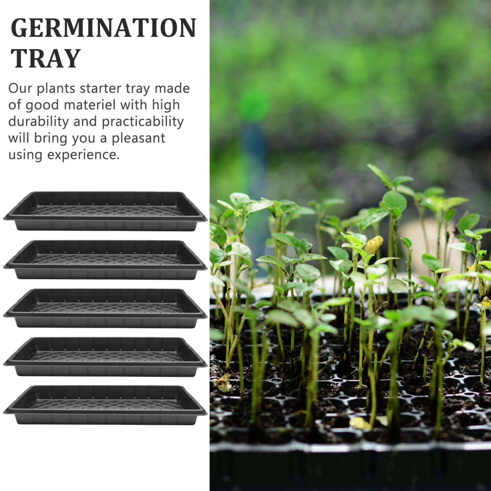 Plateau de Démarrage pour Pépinière Noir, 5 Pièces, Plastique Réutilisable | Trous, Robuste Bavure, pour Semis et Germination, Lot de Cinq, Usage Agricole