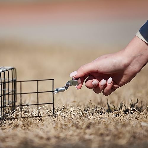 Miniatura 46 de Rugged Ranch Productos sqrto squirrelinator trampa sin cuenca